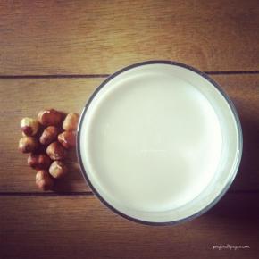 Raw Hazelnut Milk